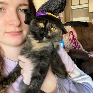 Meet your Posher, Chey